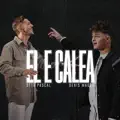 EL E CALEA