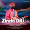 Zinda Dili 2.0 artwork