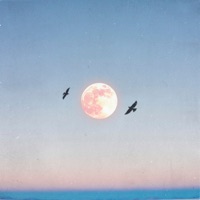 небо - это ты - Single - Даша Волосевич & райс