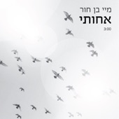 אחותי artwork