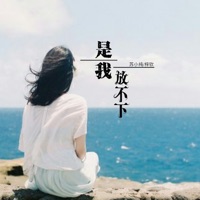 是我放不下 - Single - 苏小纯 & 梓钦