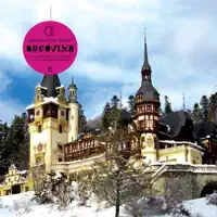 Bucovina (Radio Mix)