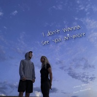 I Don't Wanna See You Anymore (slowed + reverb) (feat. Josiah MacCartney) - Single - Anthony Opgaard