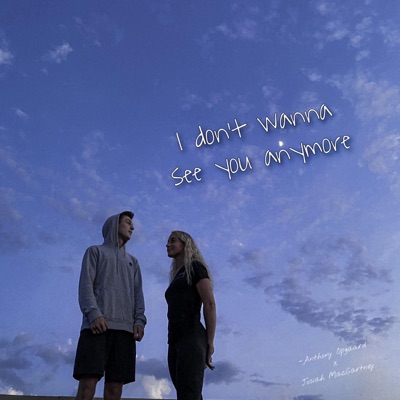 I Don't Wanna See You Anymore (slowed + reverb) (feat. Josiah MacCartney) - Single