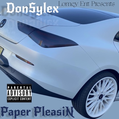 Paper Pleasin - Single