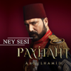 Ney Sesi - Payitaht Abdülhamid artwork