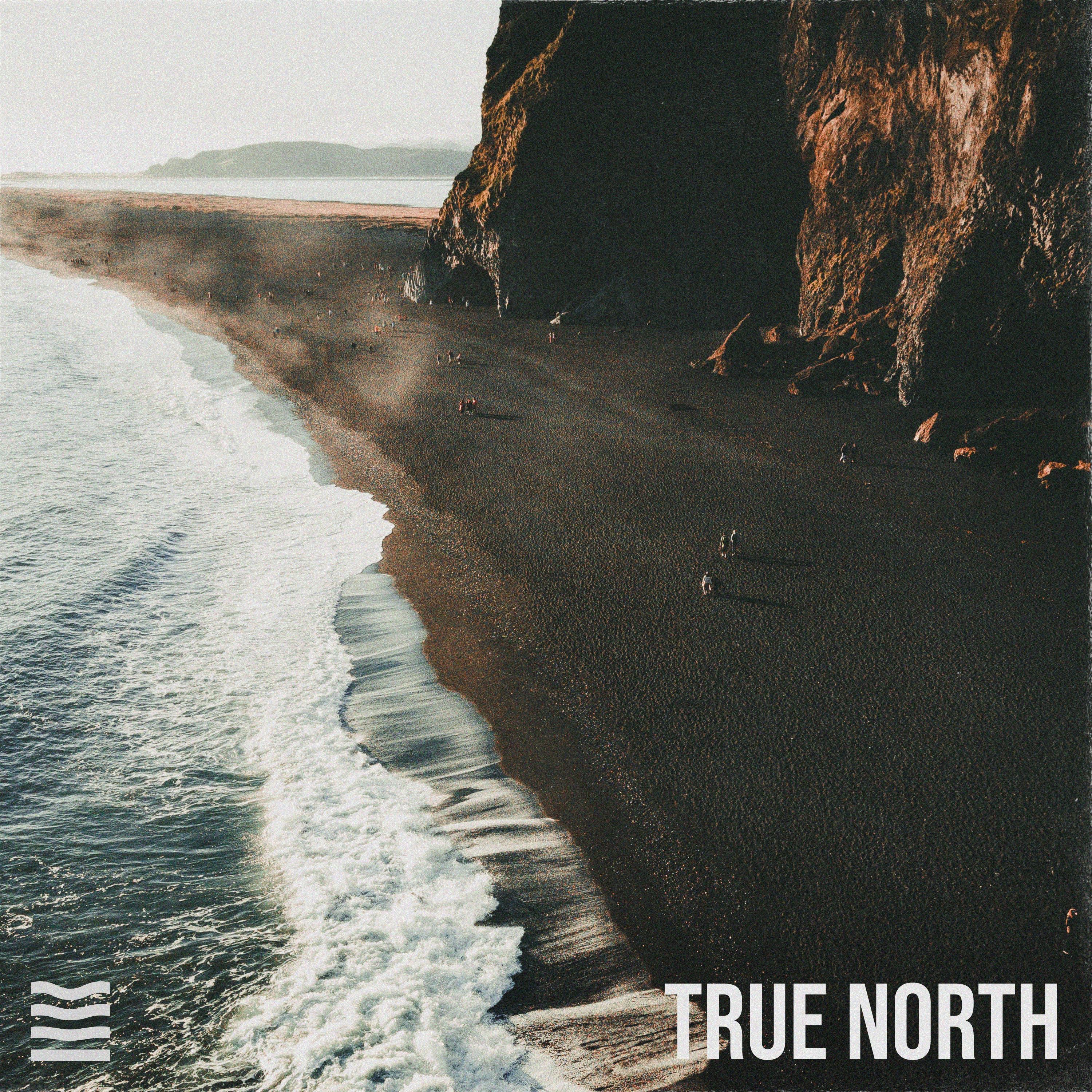 True North - Single