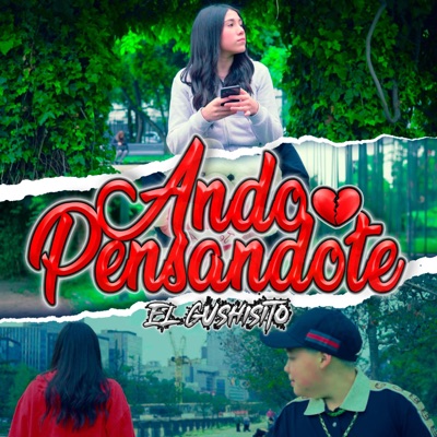 Ando Pensandote - Single