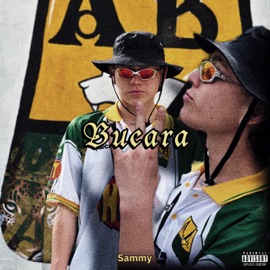 BUCARAMANGA Sammy PDB