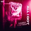 All I Got (feat. Hartbreaak) - Single