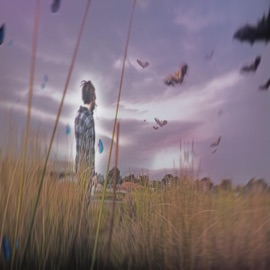 אני שונא אותך Shedko