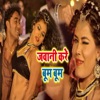 Jawani Kare Boom Boom - Single