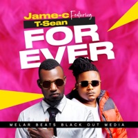 Forever (feat. T-Sean) - Single - Jame C Zambia