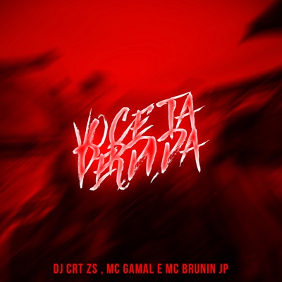 Você Tá Perdida - Single