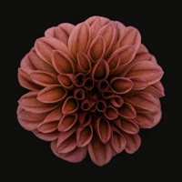 River (Live at Wizink Center) - Single - Morgan