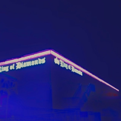 Miami Muse (feat. Theodore Floyd) - Single