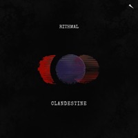 Divide (Extended Mix) - Single - Rithmal