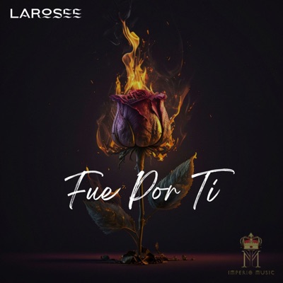 Fue por Ti - Single