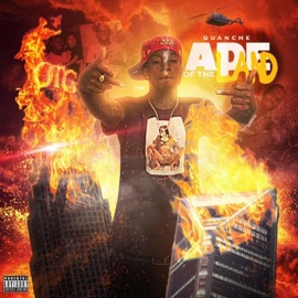 Ape of the Land Quanche