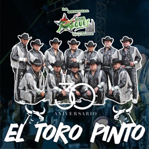 El Toro Pinto