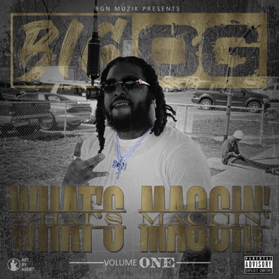 What's Maccin', Vol. 1
