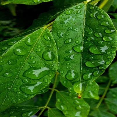 Cracks In the Road - Single