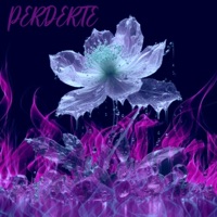 Perderte - Single - White te