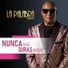 Nunca Más Dirás Adiós - Single