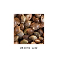 seed - Single - MF Eistee