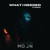 What I Needed (feat. Ironik) - Single