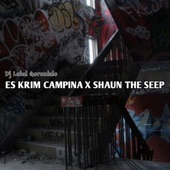 ES KRIM CAMPINA X SHAUN THE SEEP artwork