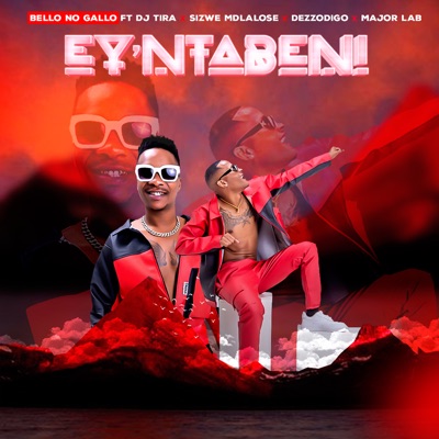 Ey'Ntabeni (feat. DJ Tira, Sizwe Mdlalose, Dezzodigo, Major Lap) - Single