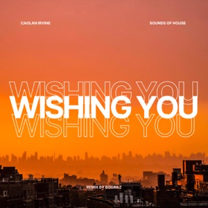 Wishing You EP