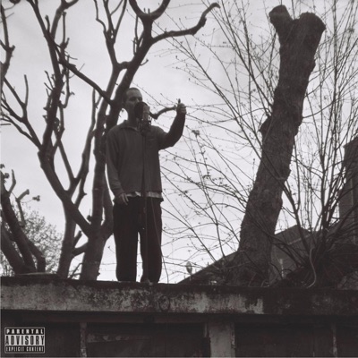 Salvador Dali - Single