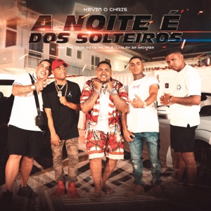 A Noite é dos Solteiros (feat. Mc PG, DJ Alex da Baixada, MC Caja & MiTy)