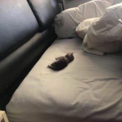 Human Face Mask - Single