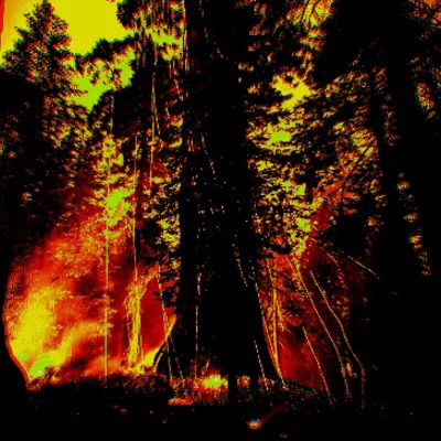 Notebook Vol. 3 - Single