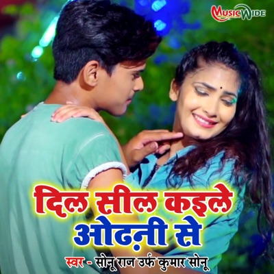 Dil Seal Kaile Odhni Se - Single