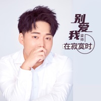 别爱我在寂寞时 - Single - 梁帅
