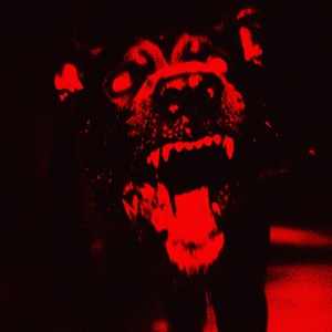Pitbull - Single