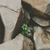 Pandora - Single - Prod.Sneak