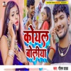 Koyal Boliya - Single