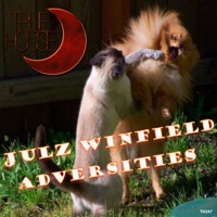 Adversities - Single - Julz Winfield