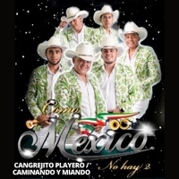 Cangrejito Playero / Caminando y Miando - Single (En Vivo) - Como México no hay 2