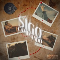Sigo Caminando - Single - Piromano El Del Flow Gitano