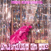 Despedida de Año - Single - VICOGENS