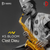 C'est DIEU - Ks Bloom