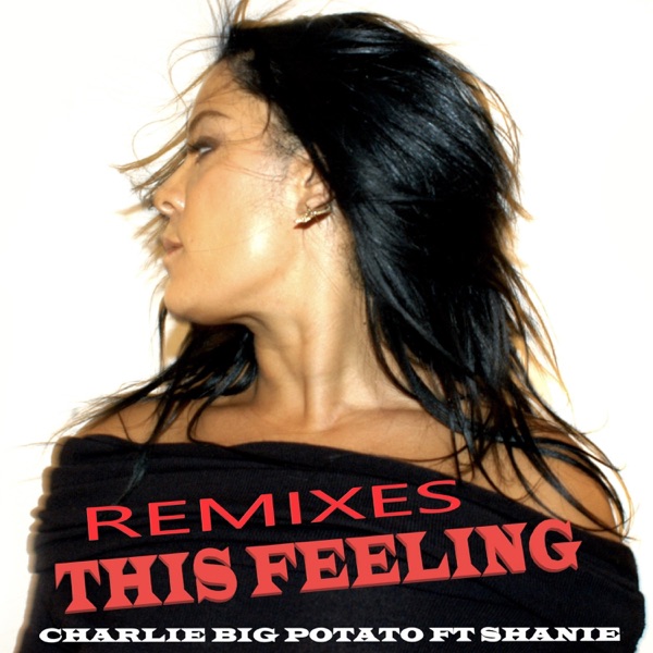 This Feeling (feat. Shanie) [Remixes] - Single