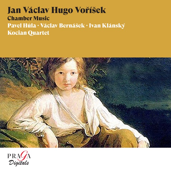 Voříšek: Chamber Music