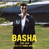 Basha artwork